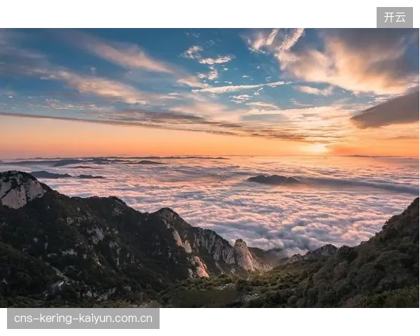 山东泰山纵线推进不断控制前场主导权的软文解读